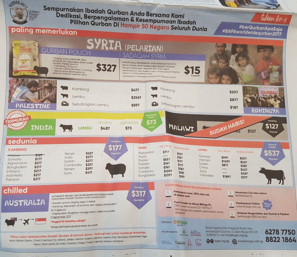 Ber Kurban ipo saja 2017