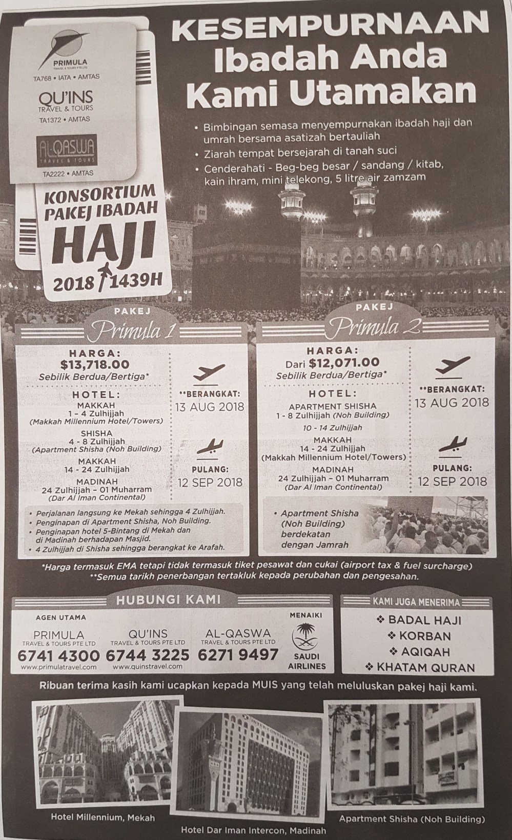 Primula consortium 2018