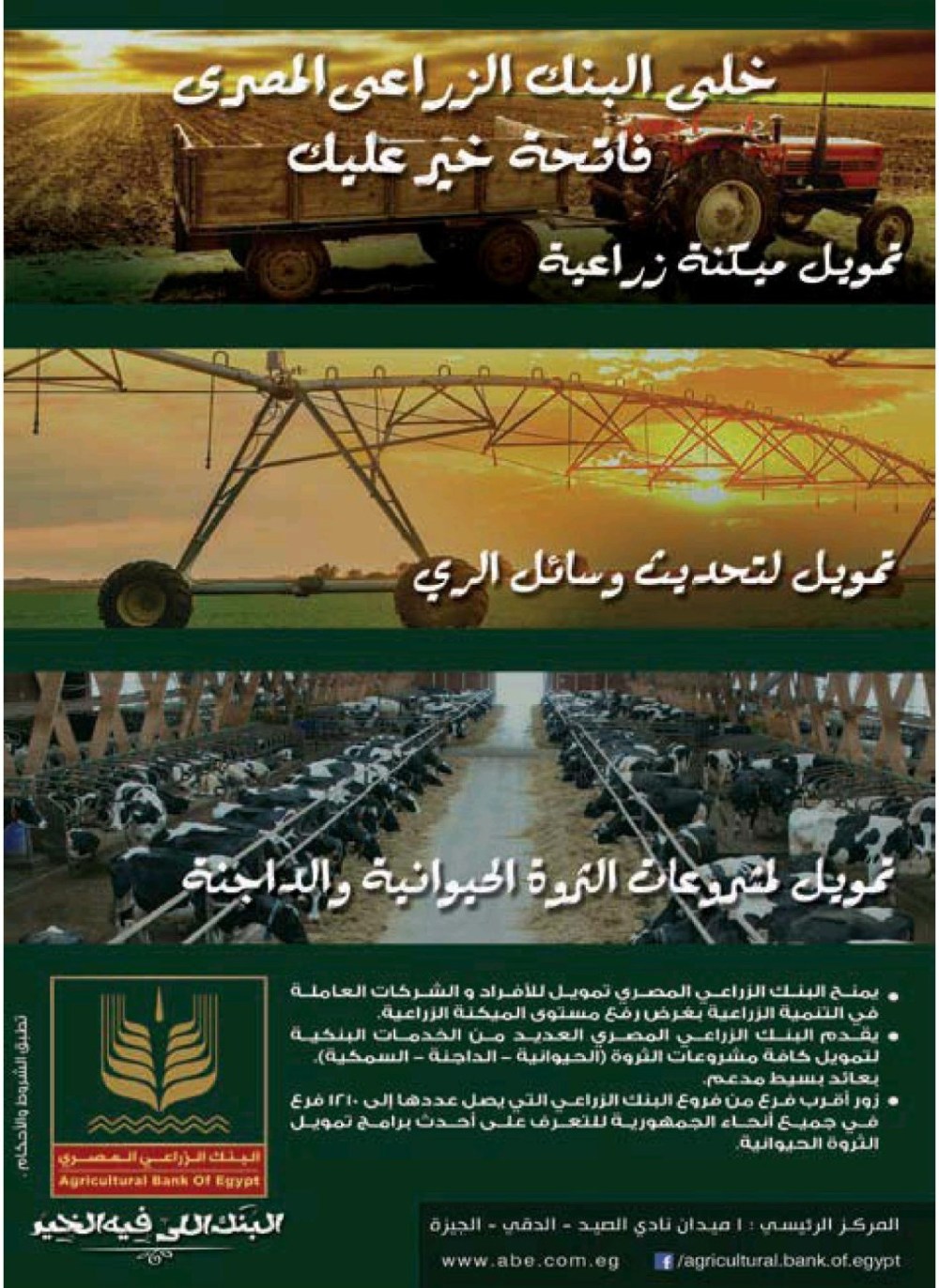agricultural bank of egypt